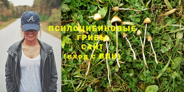 альфа пвп Белокуриха